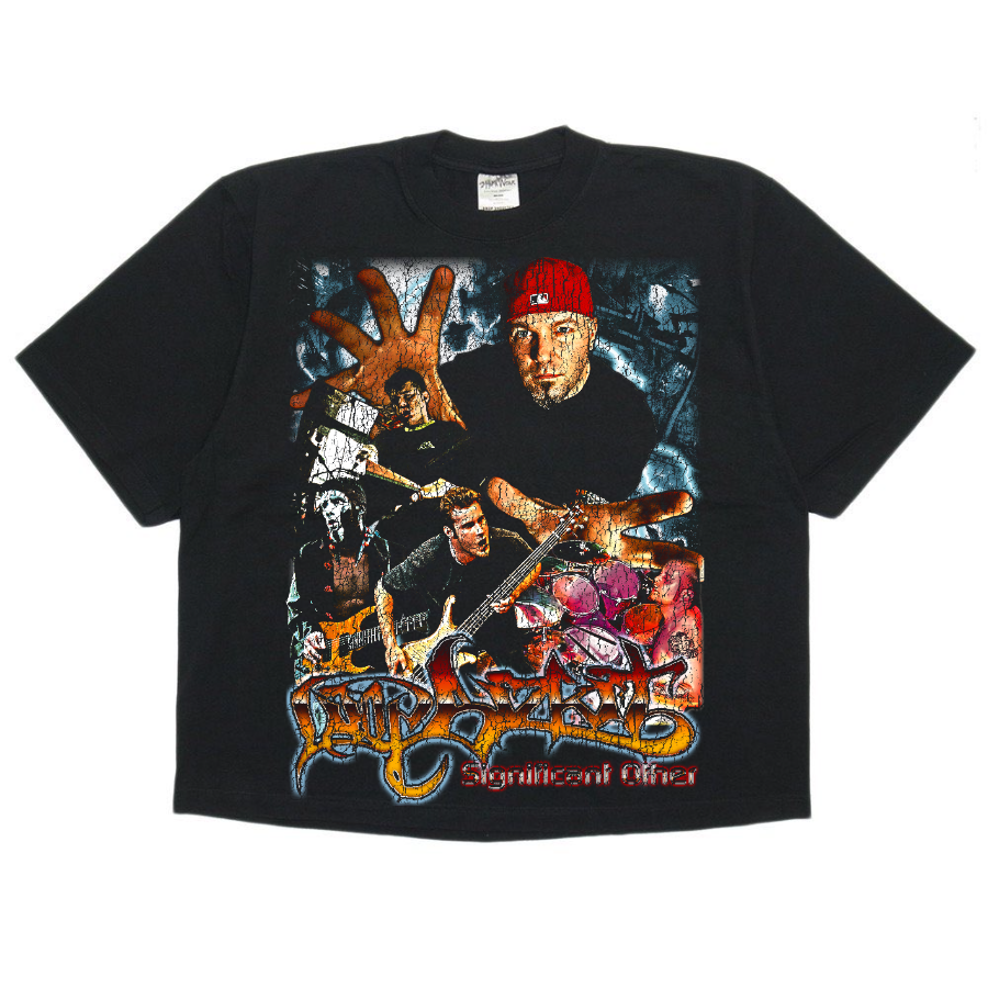 Limp Bizkit Vintage Style Bootleg Boxy Tee